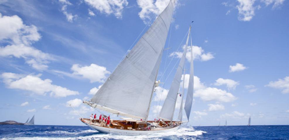 adela sailing yacht