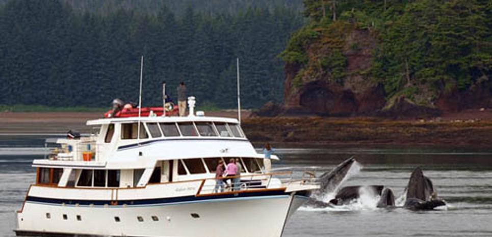 Alaskan Story Charter Yacht