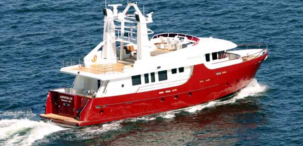 Amnesia IV Charter Yacht