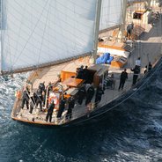 Luxury garden Luxury garden