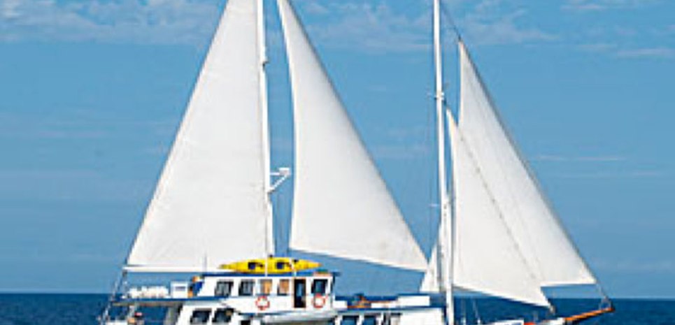 Cachalote I Charter Yacht