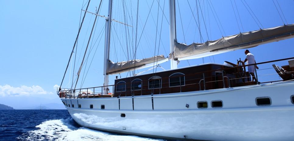 CEO III Charter Yacht