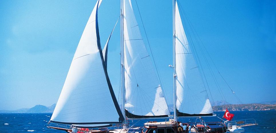 Cobra Junior Charter Yacht