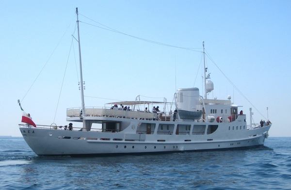 my dionaea yacht