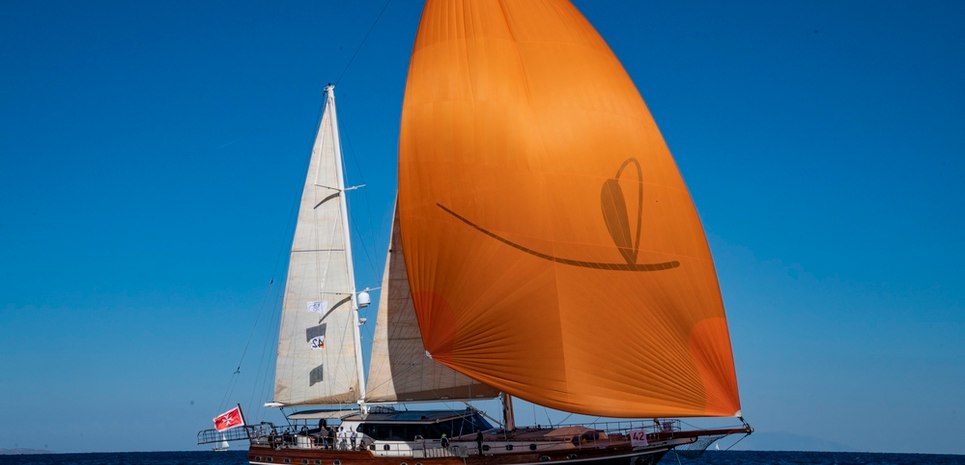 Dragonfly Charter Yacht
