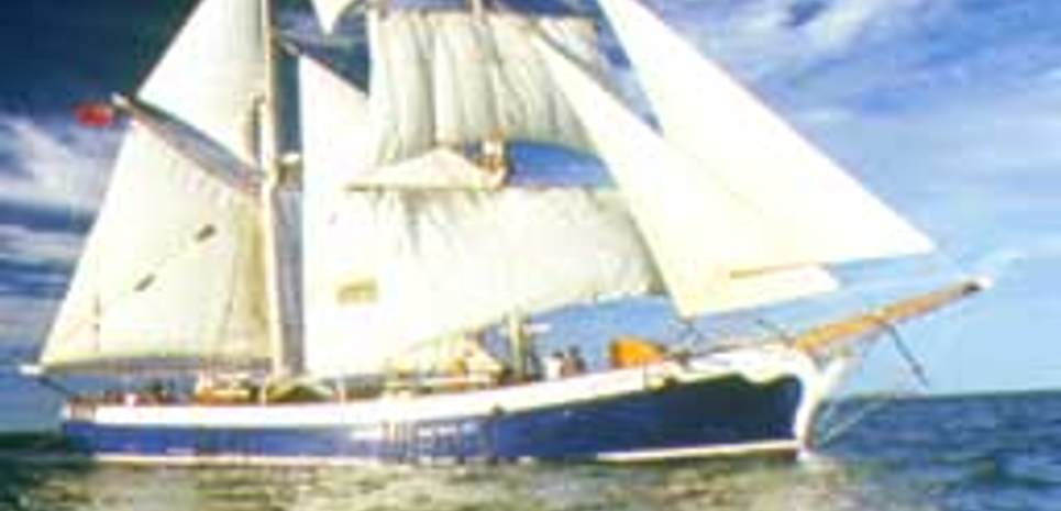 Golden Plover Charter Yacht