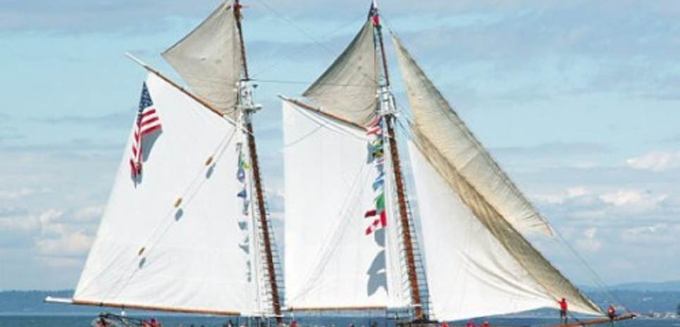 Harvey Gamage Charter Yacht