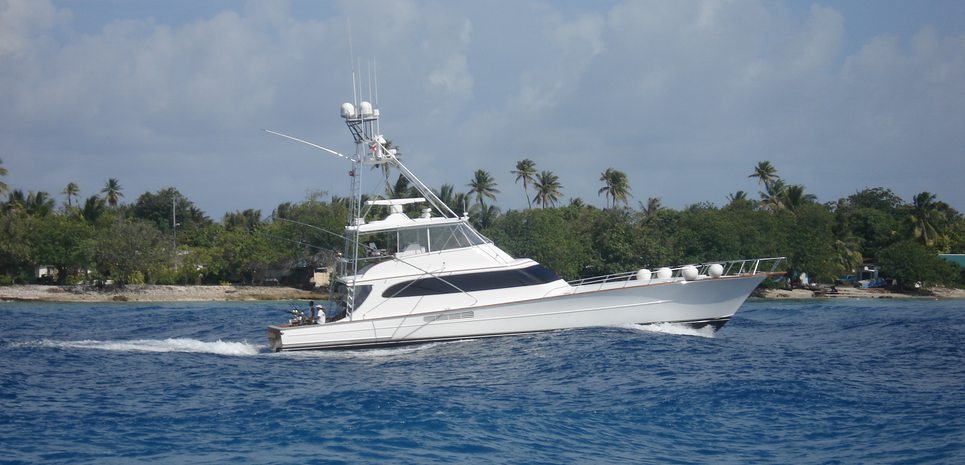 Hullbilly Charter Yacht