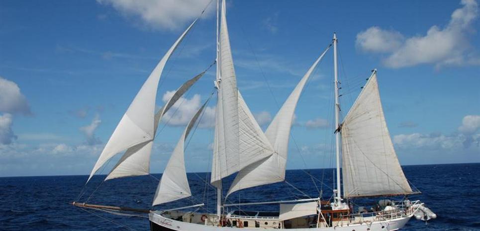 Insulinde Charter Yacht