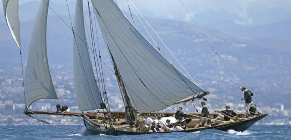 Marigold Charter Yacht