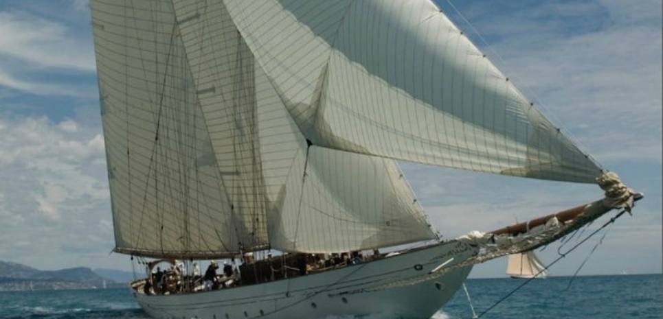 Orion Of The Seas Charter Yacht