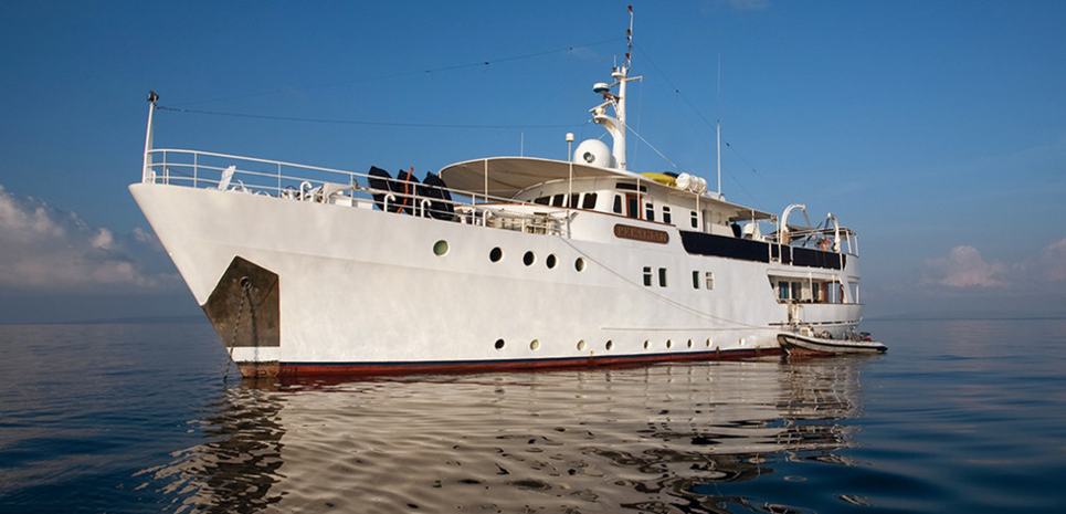 Pelagian Charter Yacht