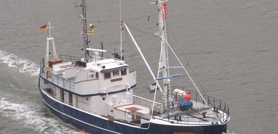 Riesenhai Charter Yacht