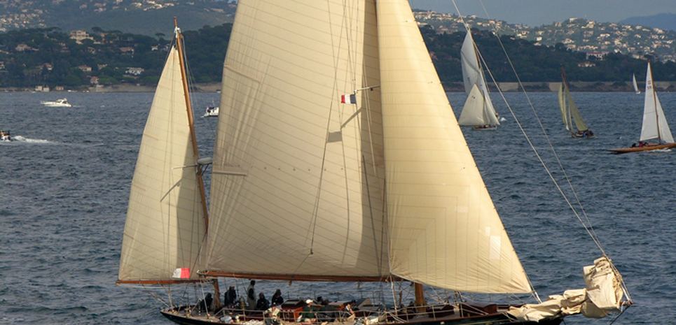Royono Charter Yacht