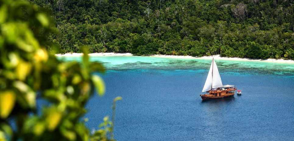 Sequoia Charter Yacht