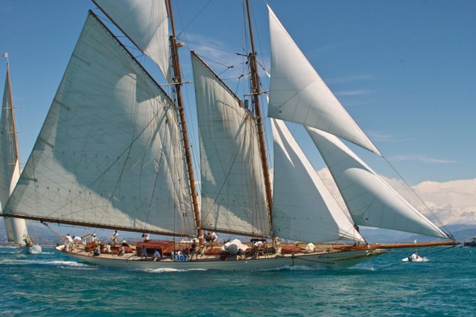 Sunshine Charter Yacht