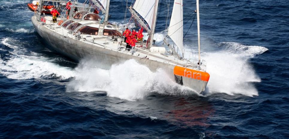 Tara Charter Yacht