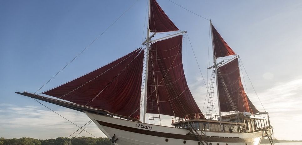 Tiare Charter Yacht