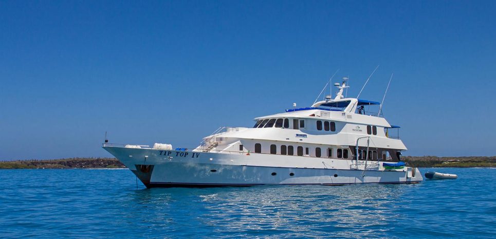 Tip Top IV Charter Yacht