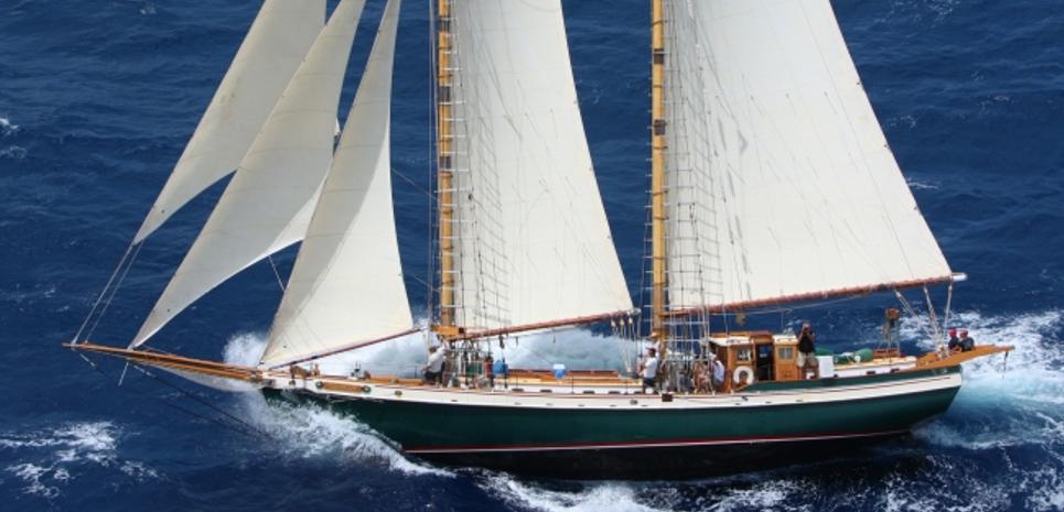 Tree Of Life Charter Yacht