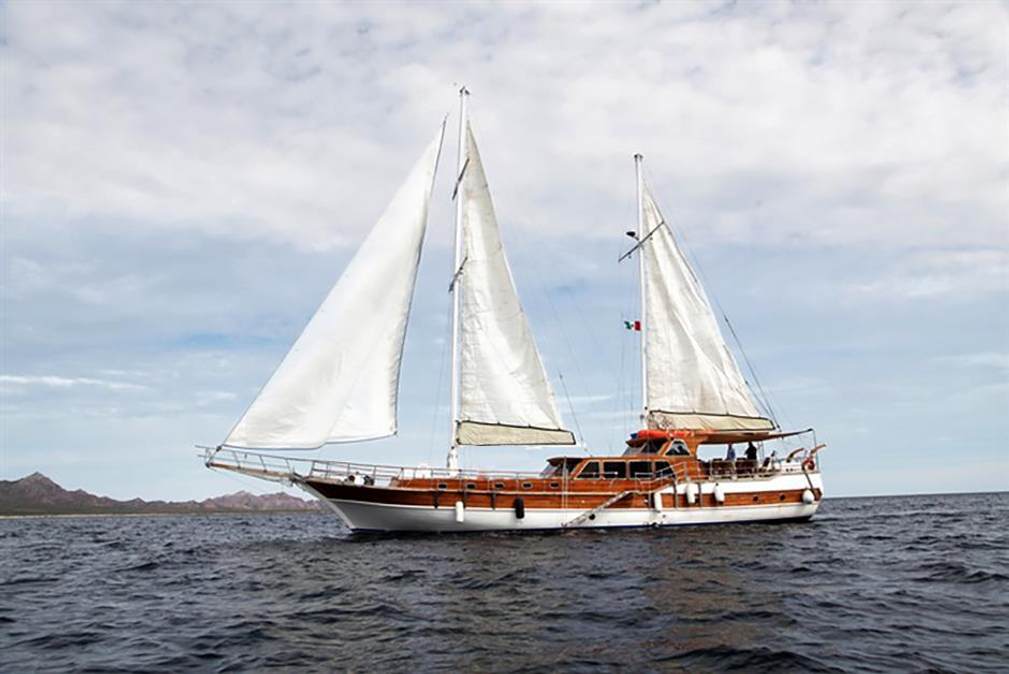 Tu Enamorado Charter Yacht