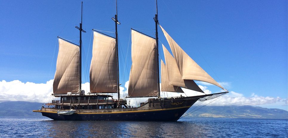 Waow Charter Yacht