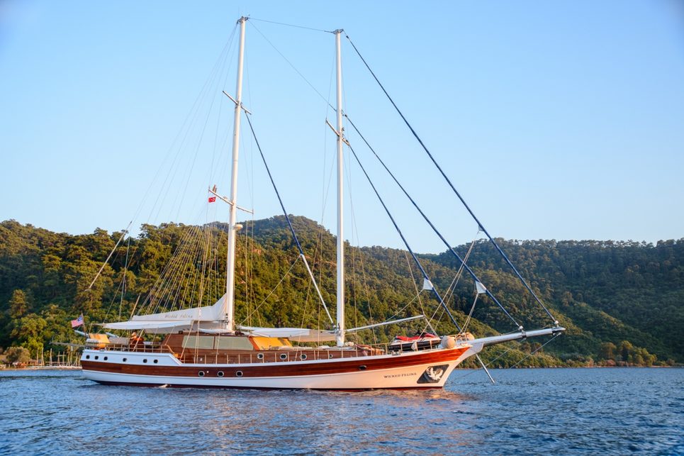 Wicked Felina Charter Yacht