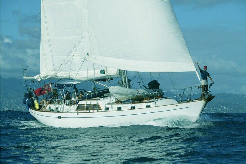 the dove yacht for sale nz