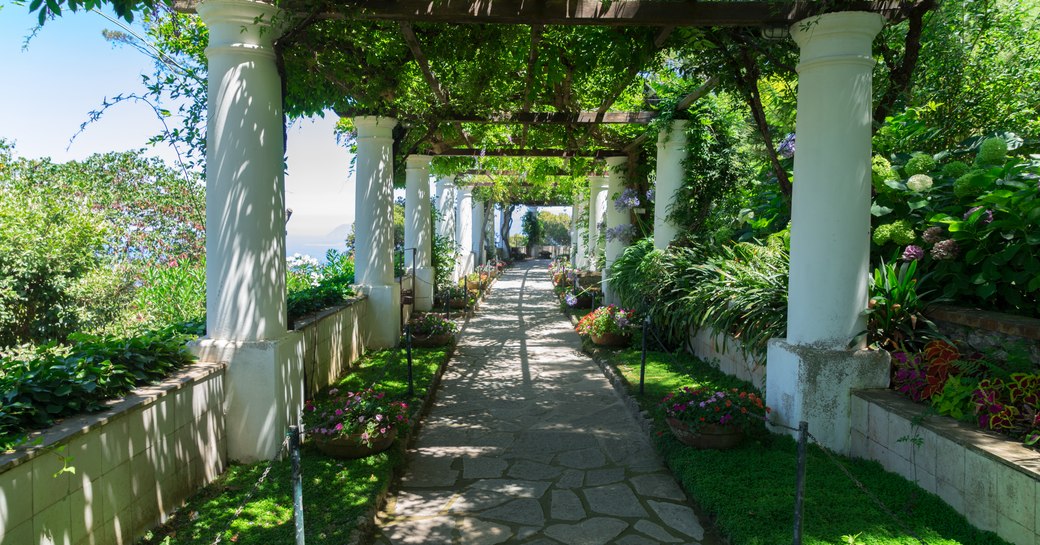 Flowers and plants in the gardens of Villa San Michele on the island of Capri