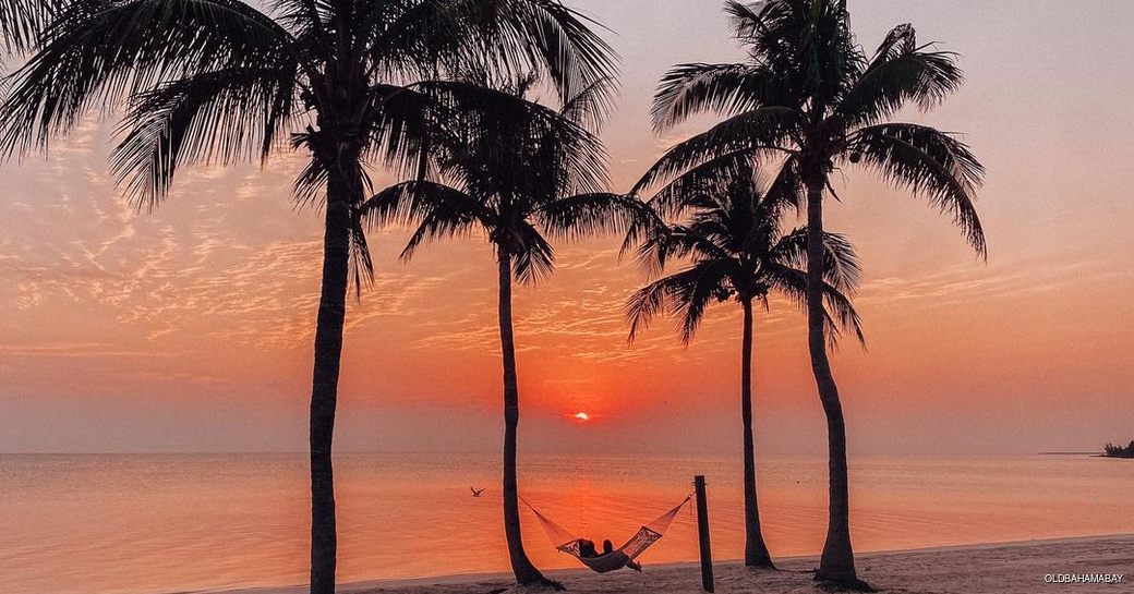 Couple watching the sunrise from a hammock on the beach 