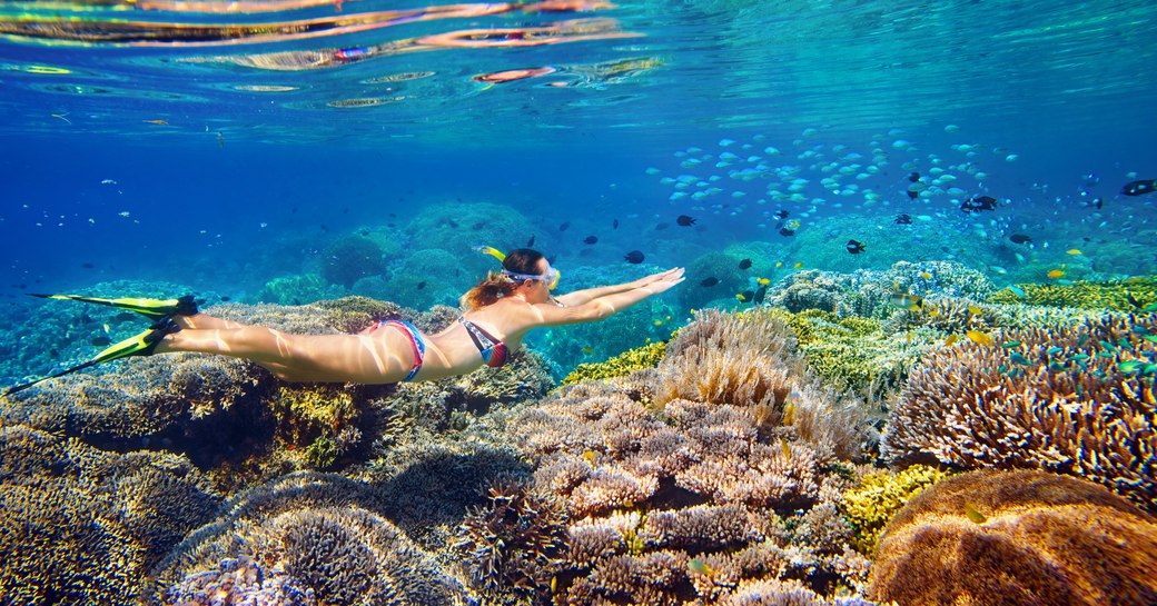 woman snorkels above great barrier reef while on a whitsundays yacht charter vacation