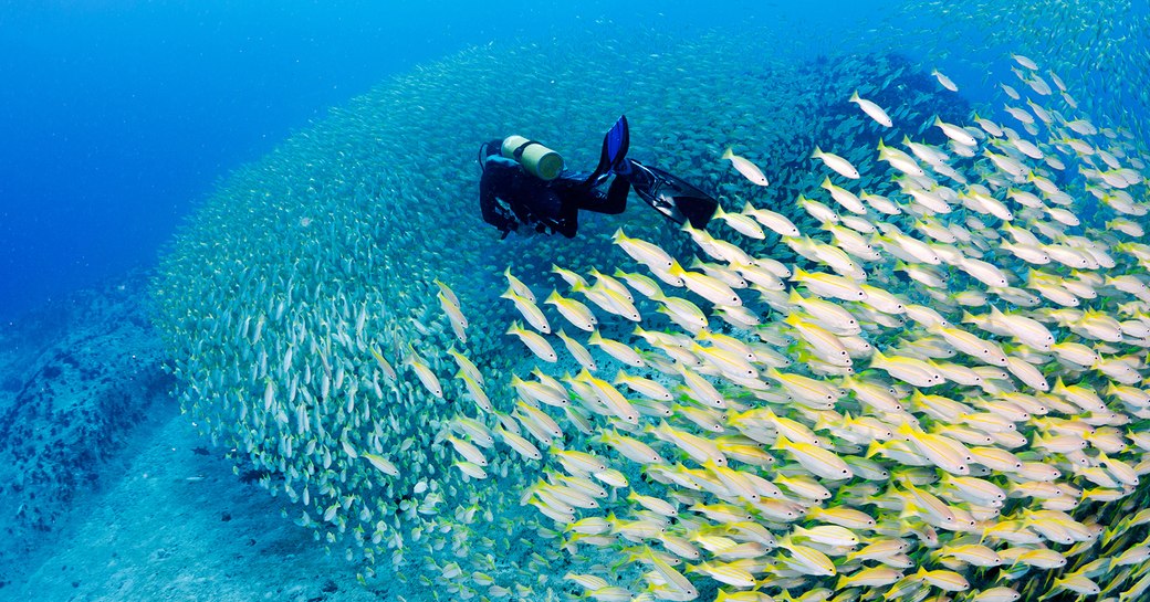 Scuba diving Seychelles