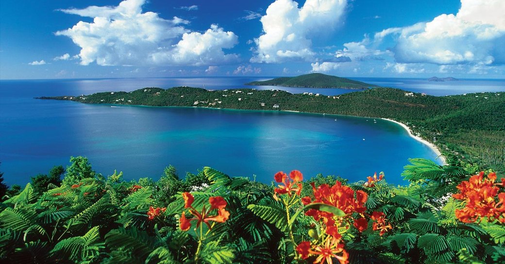 Flowers St Thomas US Virgin Islands