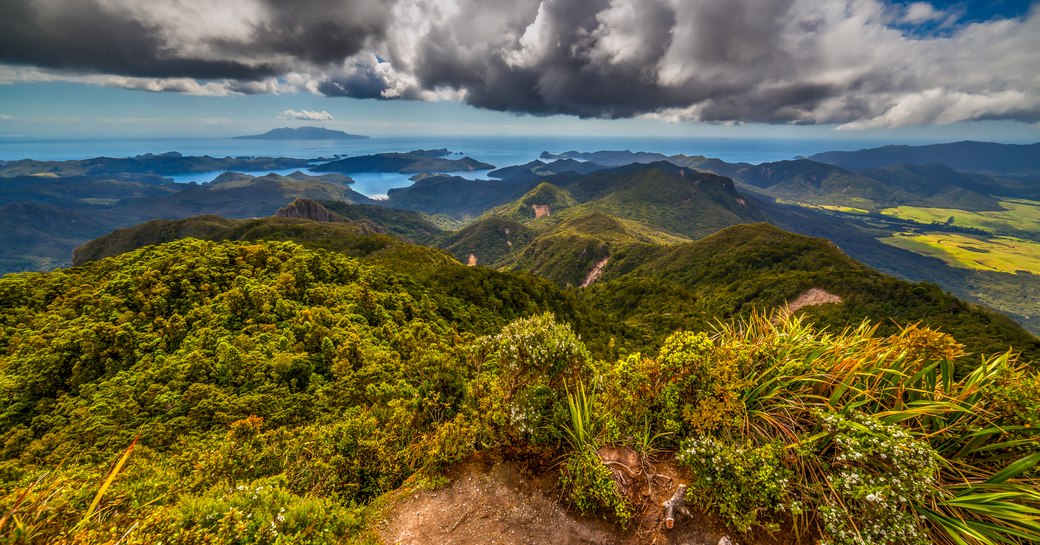 Island overlook from Mt Hobson, Great Barrier Island, New Zealand