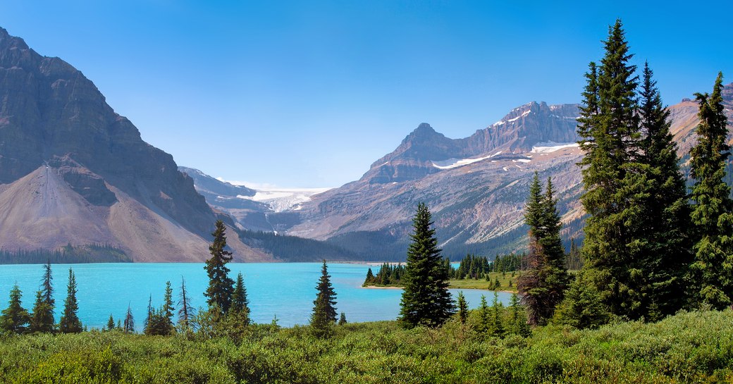 blue lake and pine trees in alaska