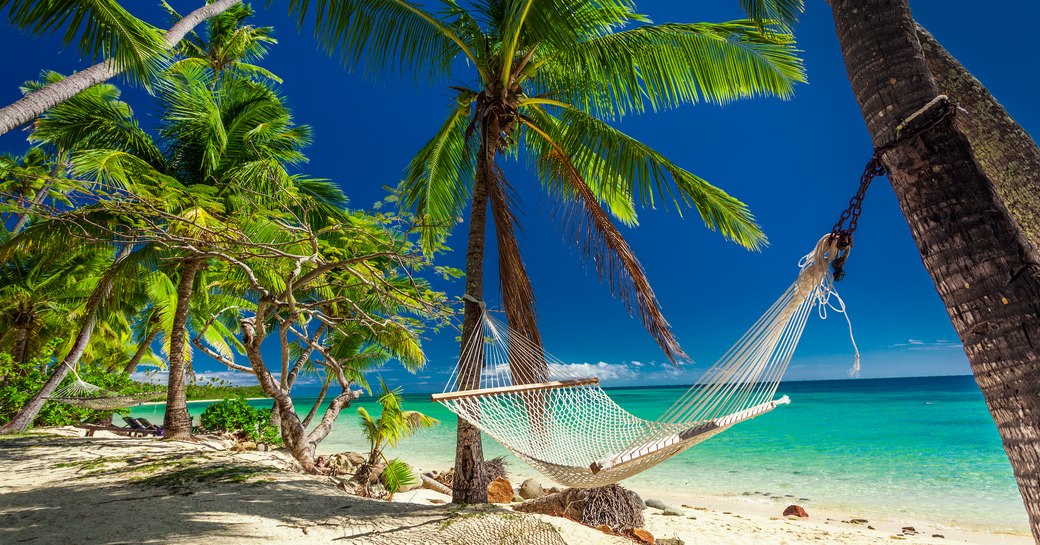 hammock tied up to two palm trees on a tropical beach in Fiji