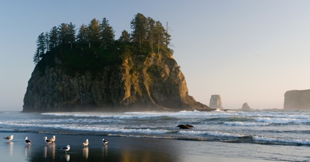 Second Beach, Washington