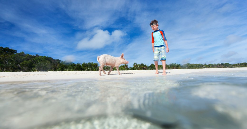 Pig beach in the Bahamas, charter guest stands on sandy beach 