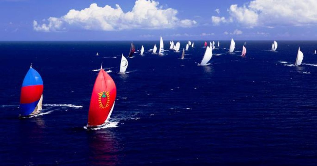 sailing yachts compete in the regatta