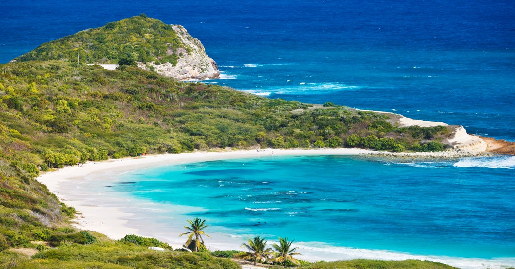 Aerial shot of little bay and green forests in Antigua