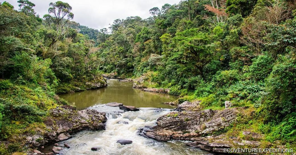 Ranomafana National Park Madagascar river