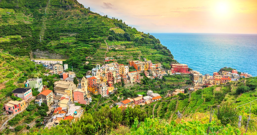 wine tasting liguria