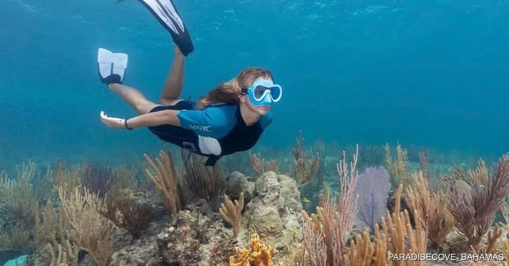 Deadman's Reef Bahamas diver