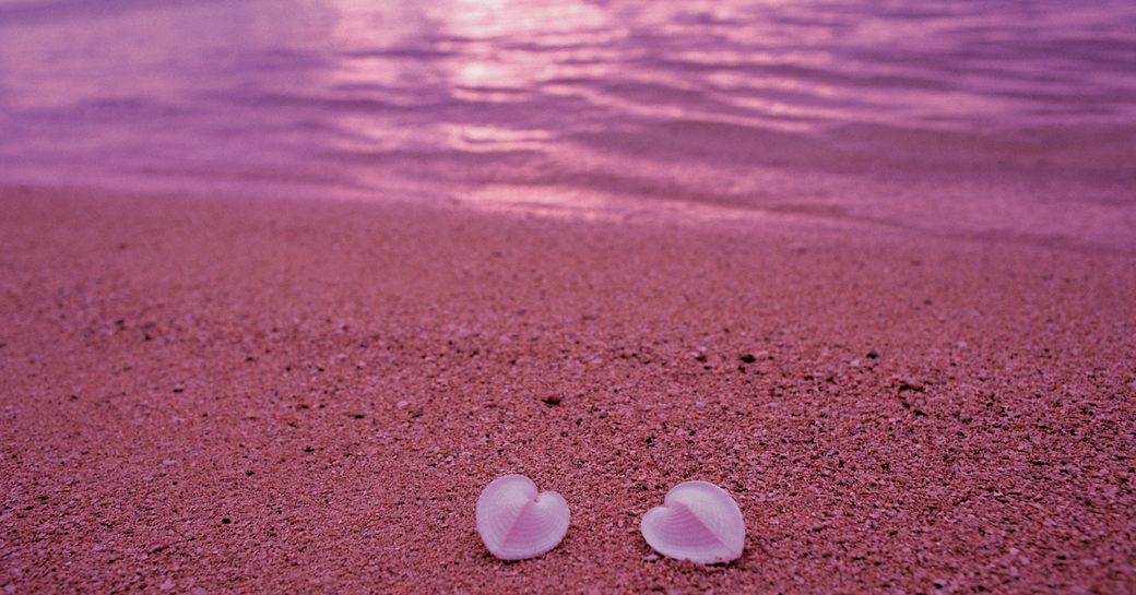 Two heart-shaped shells on Pink Sands Beach