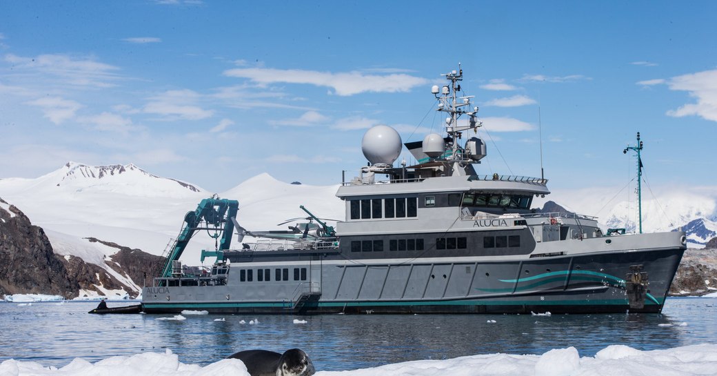 Expedition yacht ALUCIA photographed from her profile with a seal and snow in the foreground