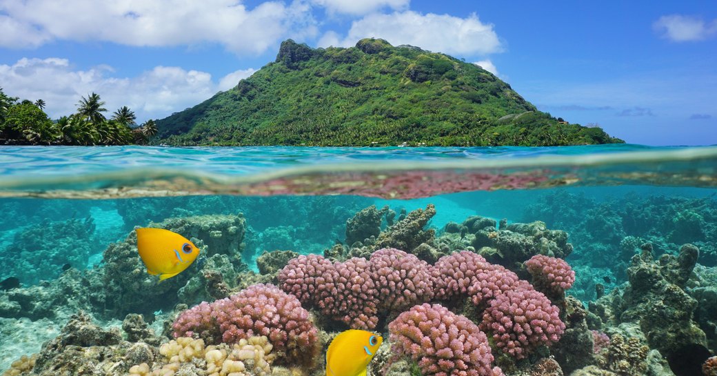 Sea in Tahiti