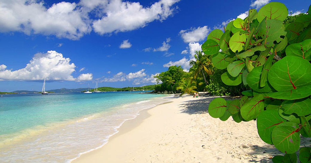 Yachts anchored at Honeymoon Beach