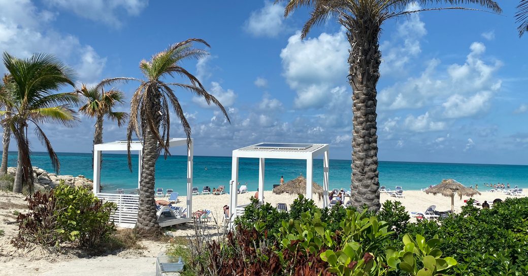 a windy caribbean beach 