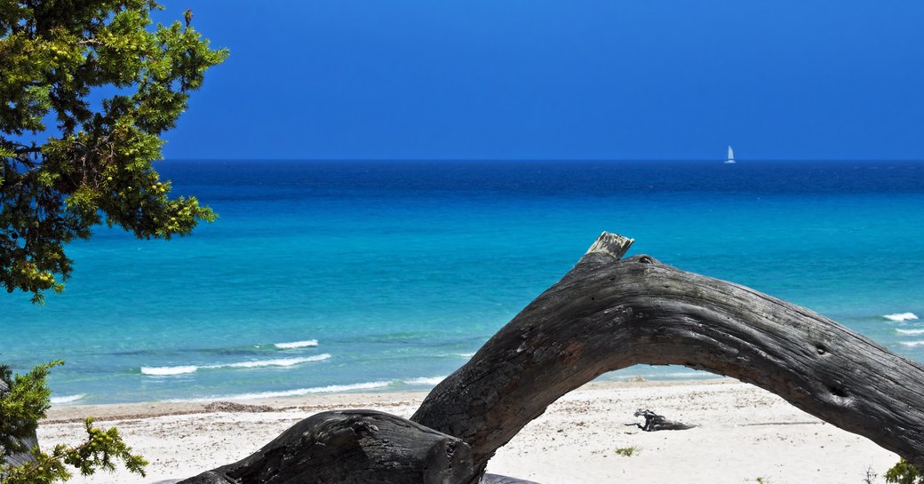 saleccia beach corsica