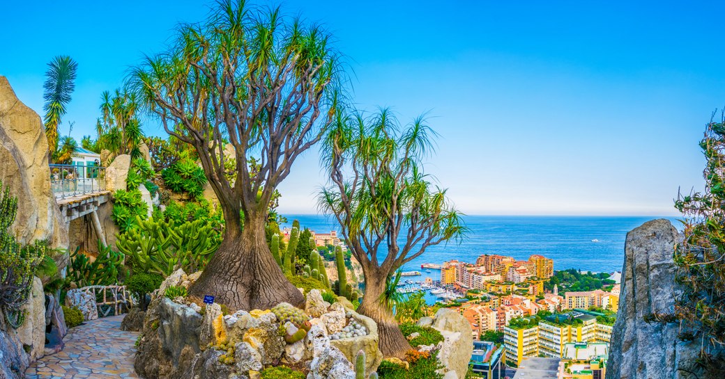 jardin exotique as seen from hilltop of monaco looking down over the town